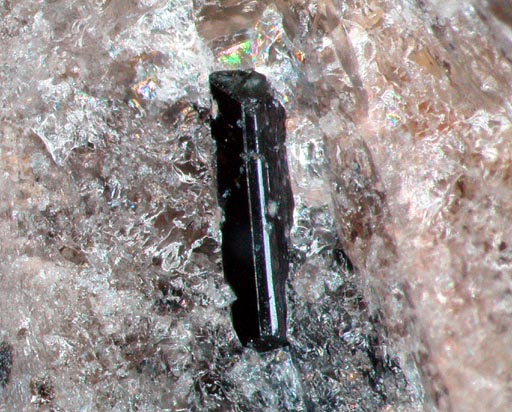 Allanite 褐簾石 その８