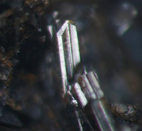 Allanite 褐簾石 その９