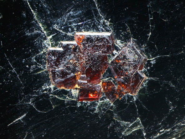 Almandine アルマンディン その１０