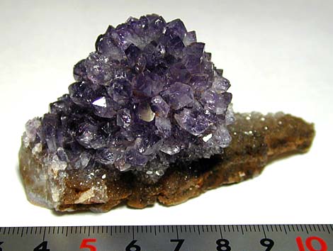 Amethyst アメシスト(1)