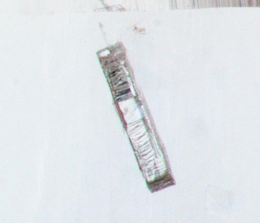 Amethyst アメシスト(21)