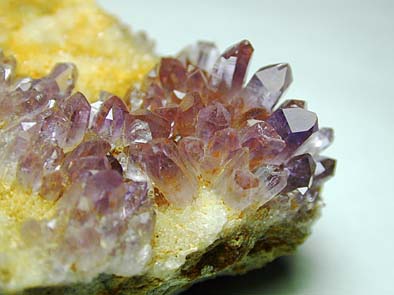 Amethyst アメシスト(7)