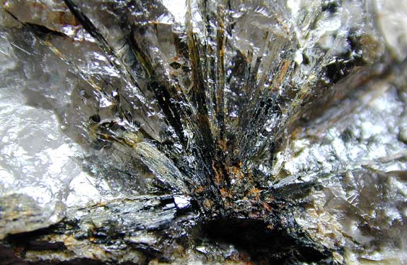 Anthophyllite 鉄直閃石(1)