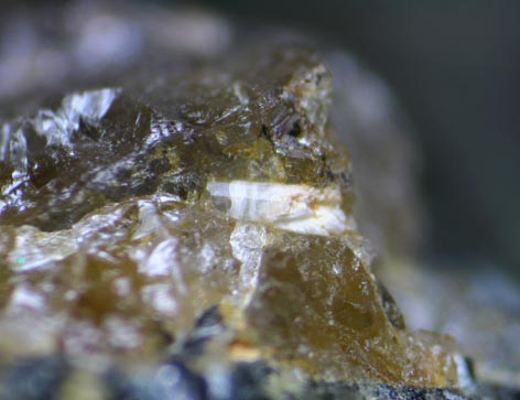 apatite