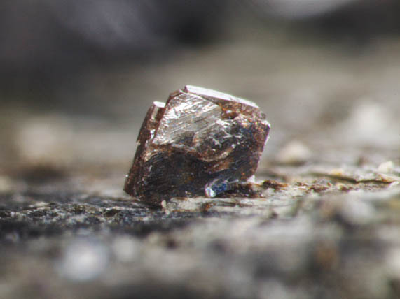 Iwashiroite-(Y) 岩代石(6)